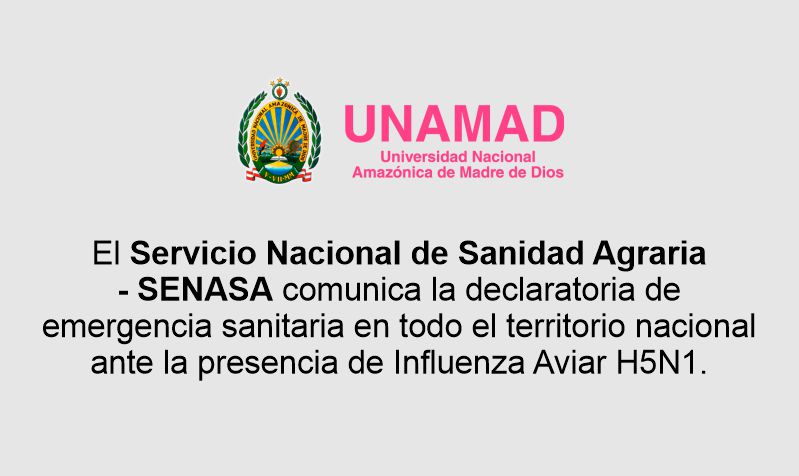Comunicado
